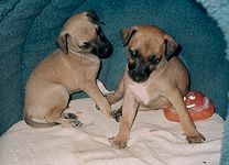 Akascha – on the right, with her brother Axel. Click for enlargement